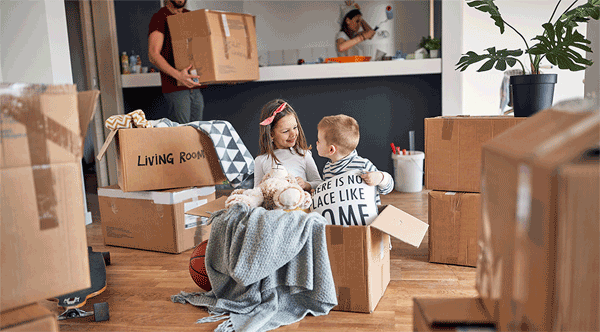 moving company brussels